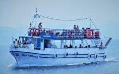 Mercury Boat Trips