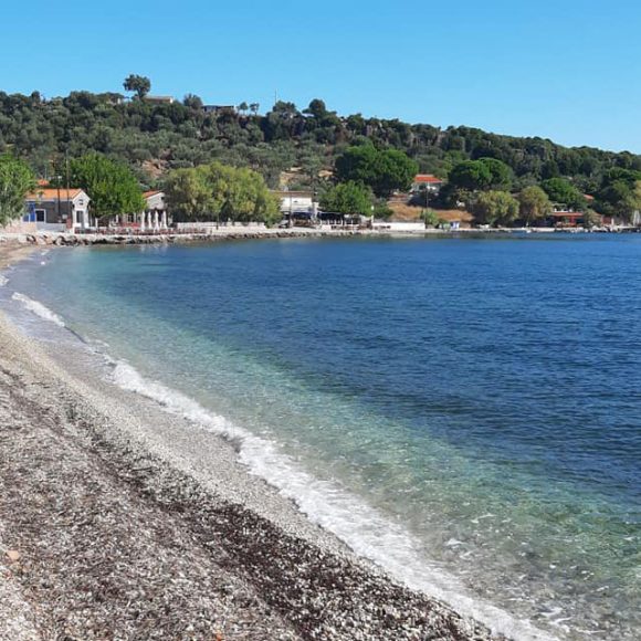 Mystegna